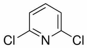 2,6 Dichloro Pyridine