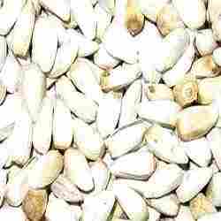 Top Quality Safflower Seeds