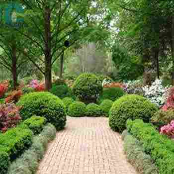Landscape And Garden Treatment Services
