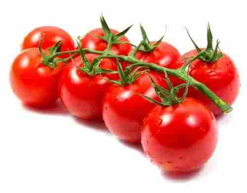 Fresh Organic Red Tomato