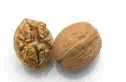 High Grade Dry Walnut