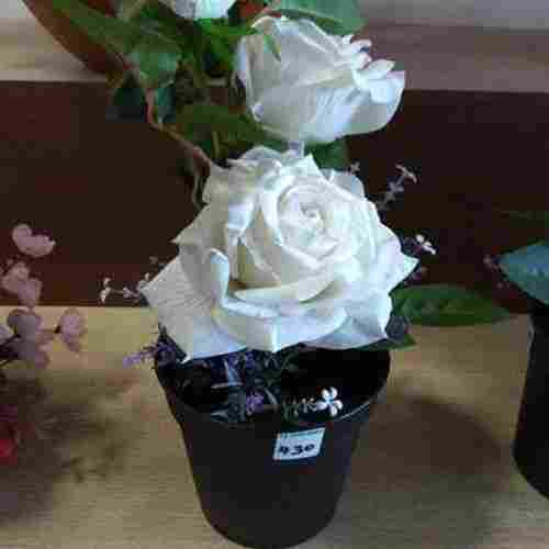 White Rose Artificial Flower