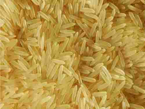 Fresh Basmati 1121 Rice
