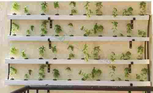 Vegetable Wall Garden (40 Plant System)