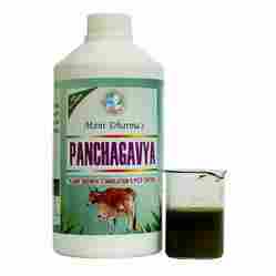 Panchagavya Fertilizers