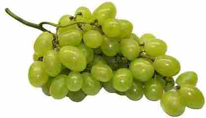 Optimum Quality Fresh Grapes