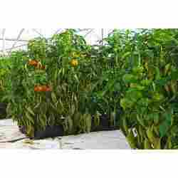 Mapal Growing Troughs 17-40-17