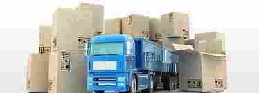 Domestic Logistics Services