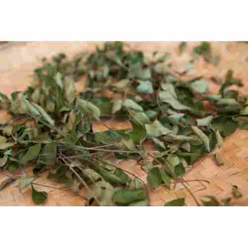 Dry Curry Leaves