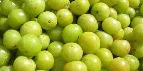 Fresh Dry Amla Seedless And With Seeds