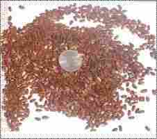 Cassia Surattenis Seeds