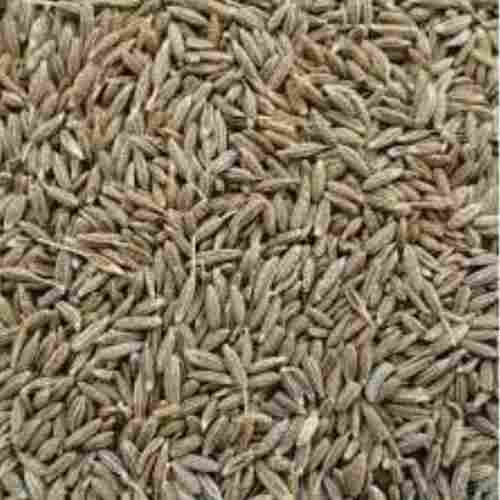 Aromatic Black Cumin Seeds