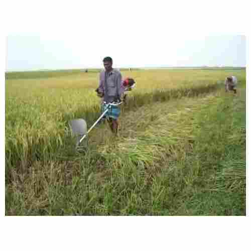 Nominal Prices Paddy Cutter
