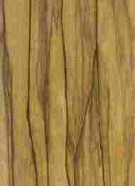 Veneer Wood (Frake, Limba, Black Limba, White Limba, Korina, Afara, Limbo)
