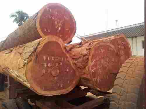 Wood Log (African Padouk, Barwood, Camwood, Padauk)