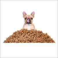 High Nutritional Dogs Food