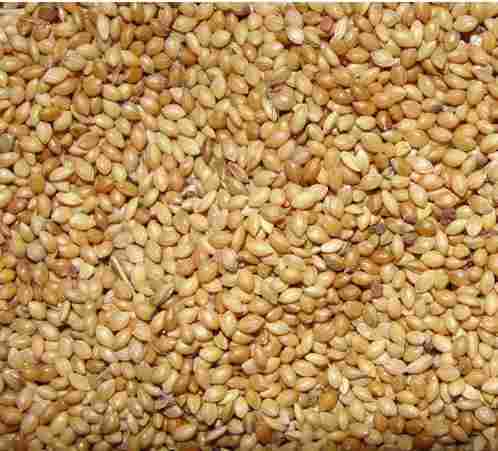 High Nutritional Foxtail Millet