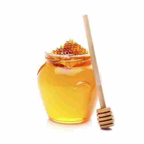 Honey Processing Consultant Services