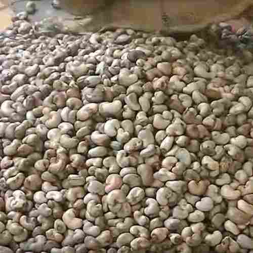 Impurity Free Raw Cashew Nuts