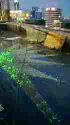 Fibre Optic Light In Swiming Pool