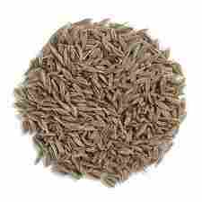 Organic Dry Cumin Seeds