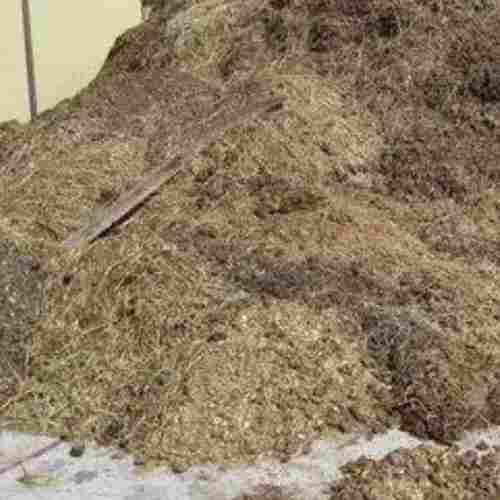 Vermi Compost Manure