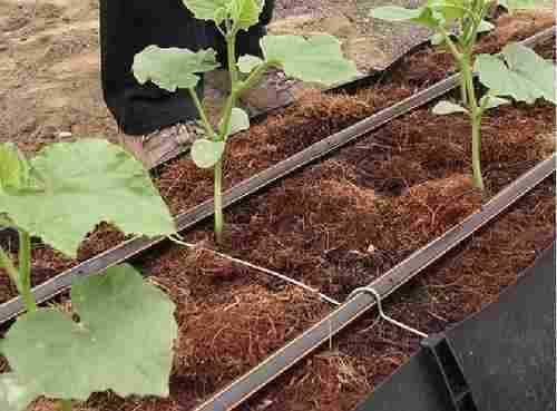 Durable Hydroponic Trough System