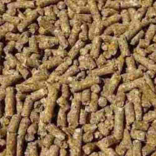 Cattle Feed Supplements 