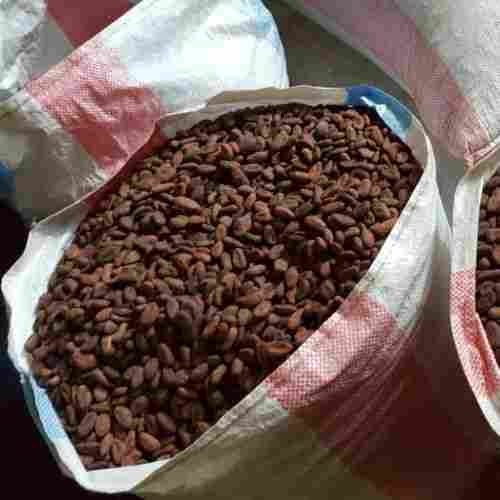 Cocoa Bean Southwest Cameroun