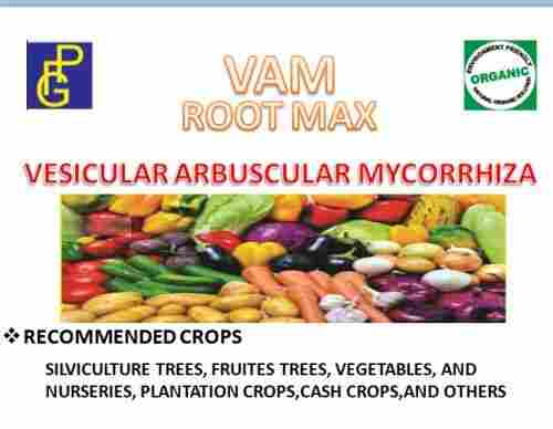 Vesicular Arbuscular Mycorrhiza (VAM)