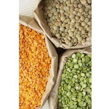 C/M/Y/K Crop Top Quality Lentils