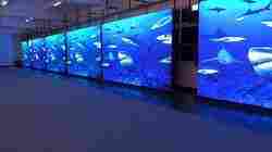 LED Video Wall Rental Service