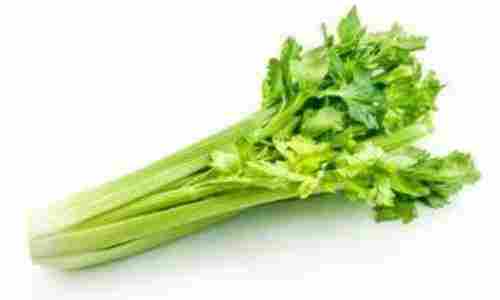 Fresh Leafy Celery Vegetable