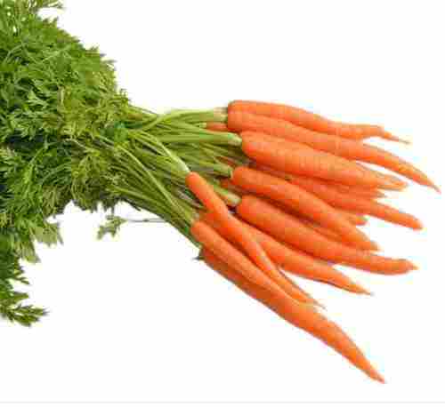Ooty Red Carrots