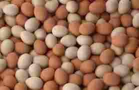 Fresh White And Brown Chicken Eggs