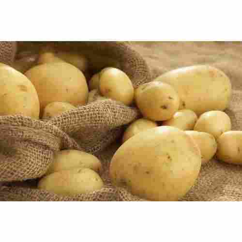 Vegetable Fresh Organic Potato
