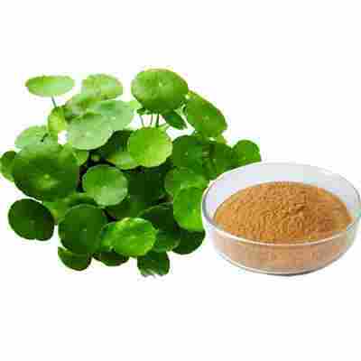 Natural Bacopa Extract