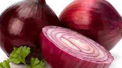 Medium Fresh Red Onion