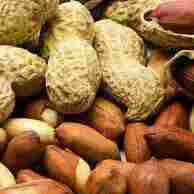 High Nutrition Raw Peanut 