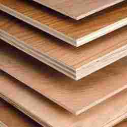 Construction Grade Plywood