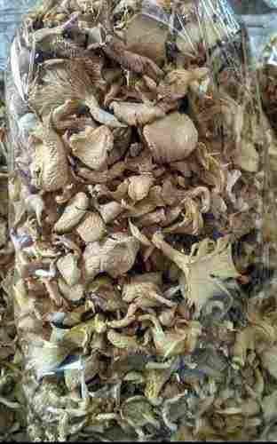 Dry Organic Oyster Mushroom