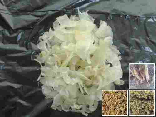 Quality Approved Tragacanth Gum