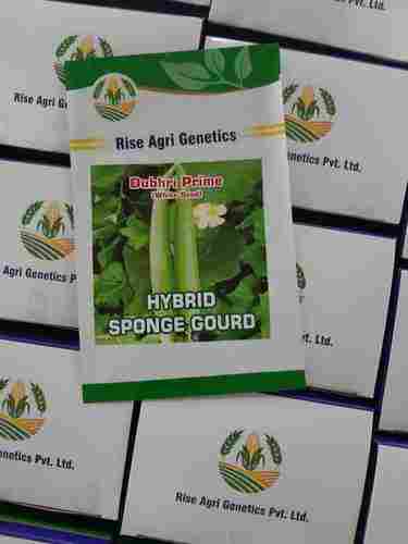 Hybrid Sponge Gourd Seed