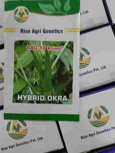 RAG -10 Prime Hybrid Okra Seed