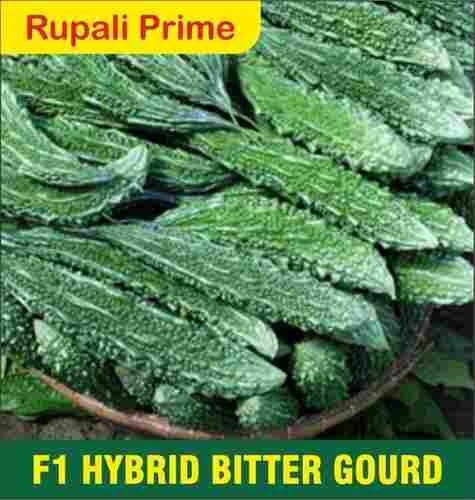 Rupali Prime F1 Hybrid Bitter Gourd Seed