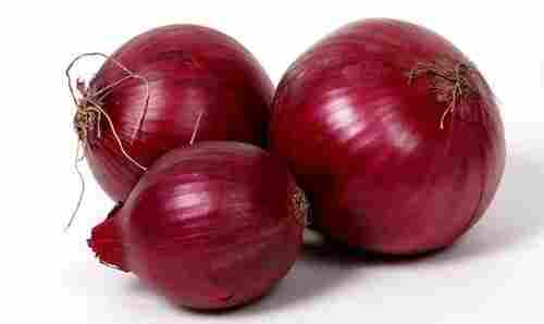Red In Vitamin Red Onion