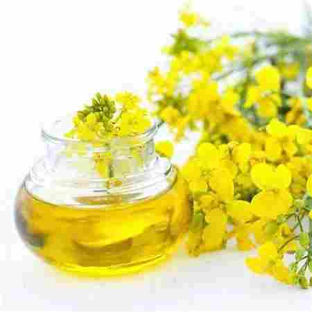 Pure Refined Rapeseed Oil