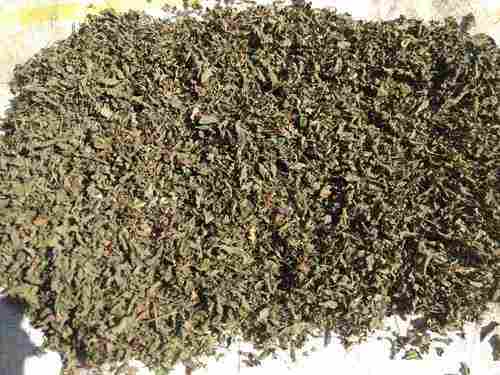 Rich Aroma Dried Tulsi Leaves