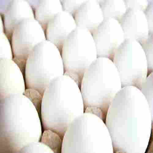 Fresh White And Brown Eggs