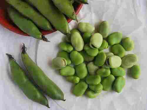 Green Peeling Broad Bean